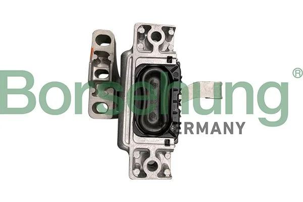 Variklio montavimas BORSEHUNG B10988