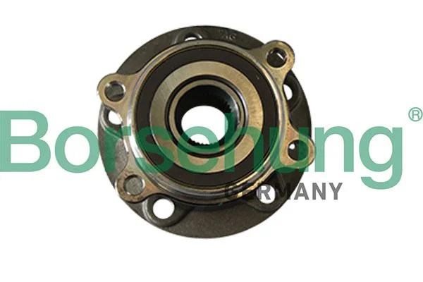 Rato guolio komplektas BORSEHUNG B11290