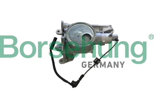 Alyvos siurblys BORSEHUNG B11900