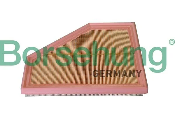 Oro filtras BORSEHUNG B12291