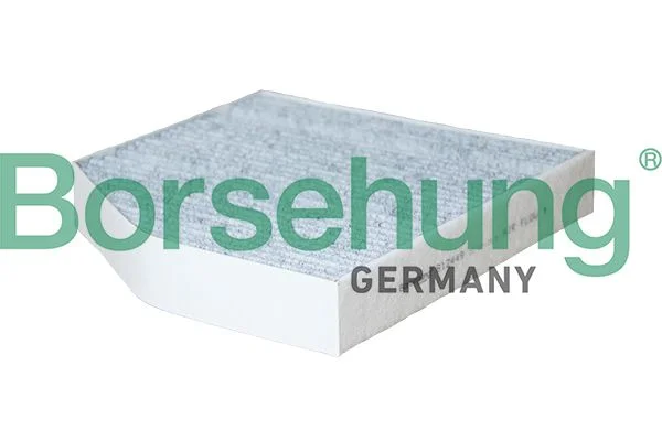 Filtras, salono oras BORSEHUNG B12449