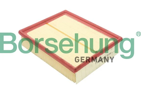 Oro filtras Borsehung B12804
