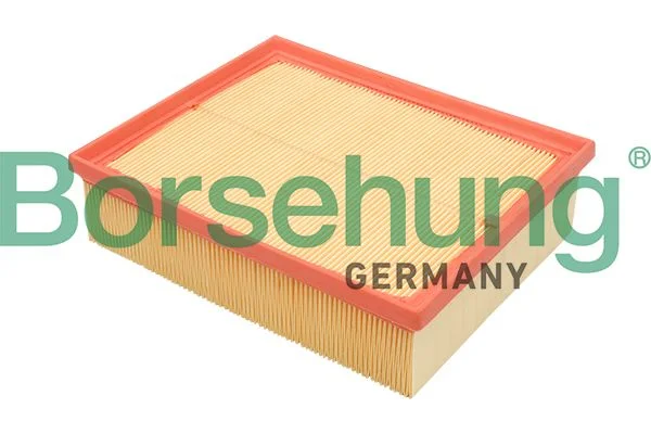 Oro filtras BORSEHUNG B12805