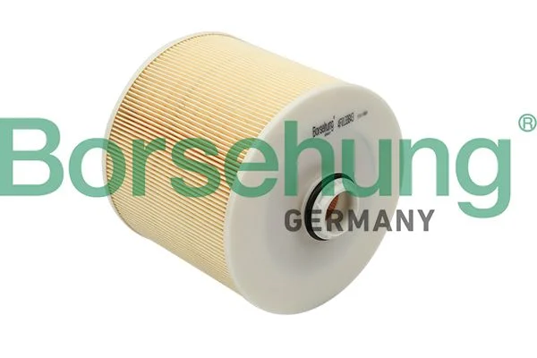 Oro filtras BORSEHUNG B12807