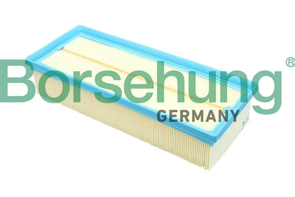 Oro filtras BORSEHUNG B12811