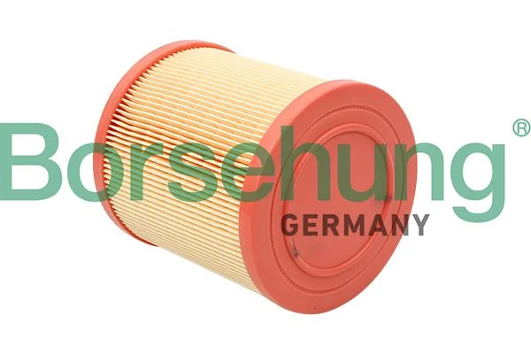 Oro filtras BORSEHUNG B12813