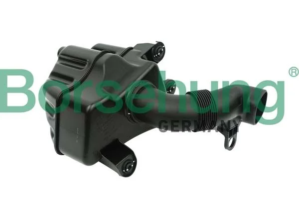 Įleidimo vamzdelis BORSEHUNG B12830