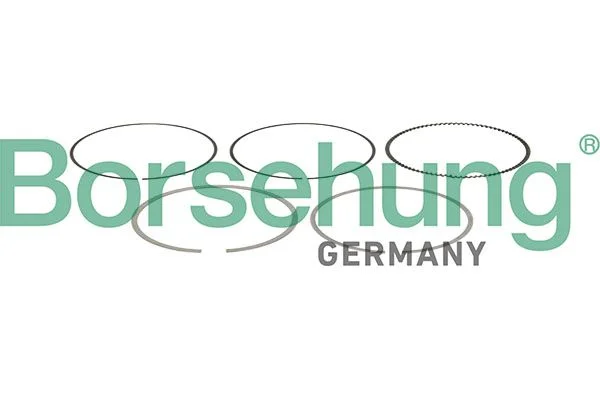 Piston Ring Set BORSEHUNG B13257