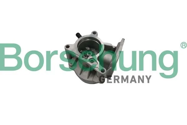 Vacuum Pump, braking system BORSEHUNG B18666