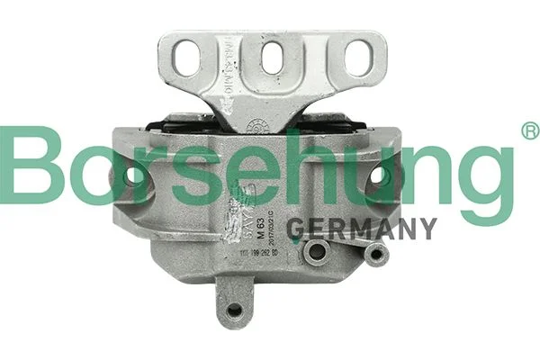 Variklio montavimas BORSEHUNG B18733