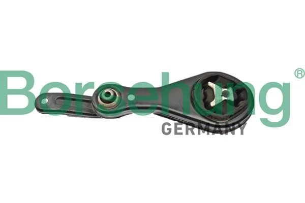Variklio montavimas Borsehung B10039