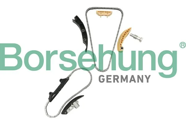 Timing Chain Kit Borsehung B10207