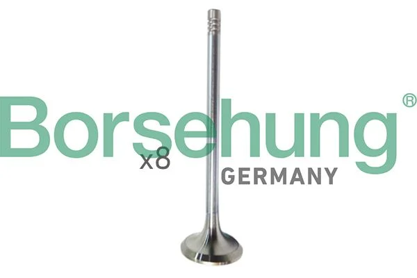 Įvado vožtuvas Borsehung B10322