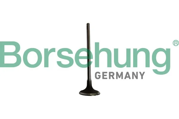 Intake Valve Borsehung B10334