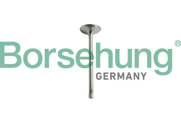 Intake Valve Borsehung B10351