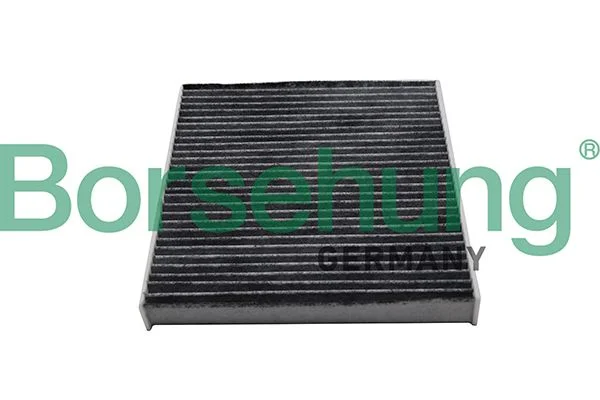 Filtras, salono oras borsehung B10513
