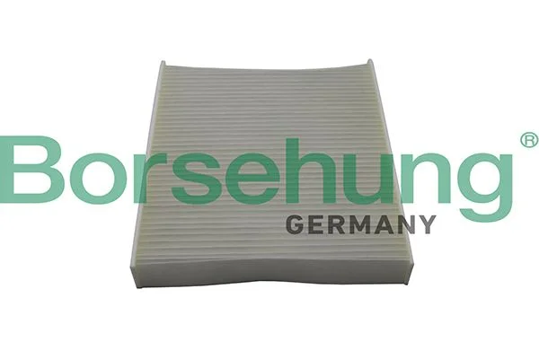 Filtras, salono oras Borsehung B10514