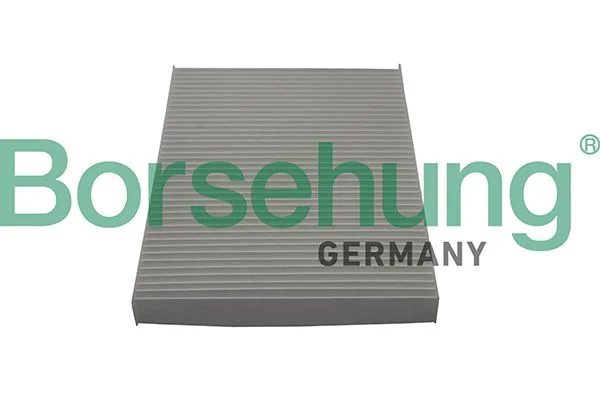 Filtras, salono oras borsehung B10515