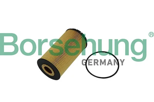 Alyvos filtras Borsehung B10518