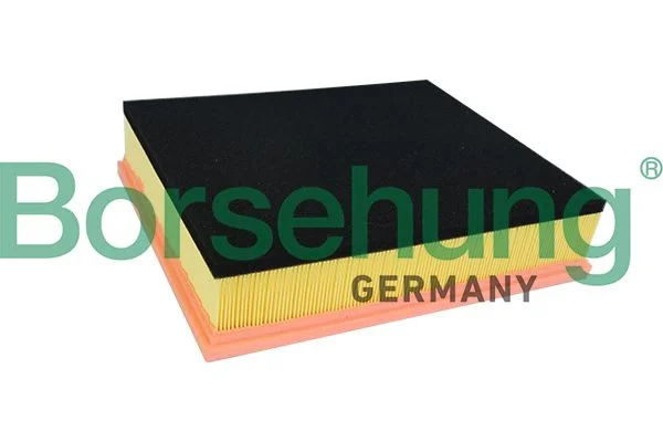Oro filtras Borsehung B10526
