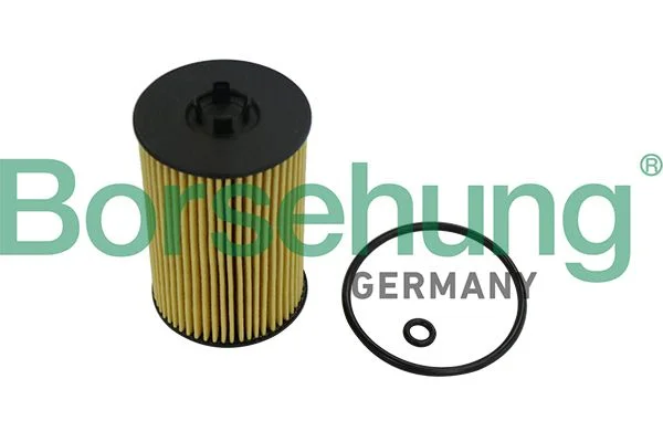 Alyvos filtras Borsehung B10532