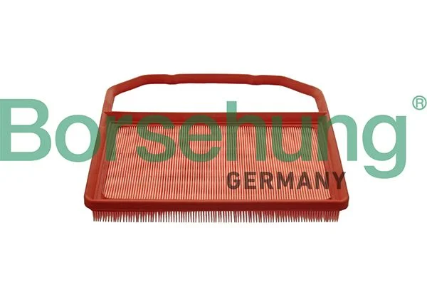 Oro filtras Borsehung B10538
