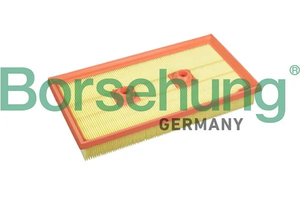 Oro filtras Borsehung B10542