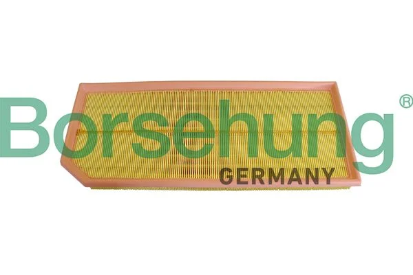 Oro filtras Borsehung B10543