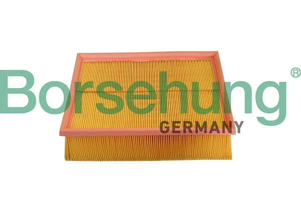 Oro filtras Borsehung B10545
