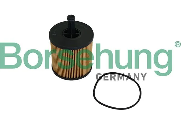 Alyvos filtras Borsehung B10548