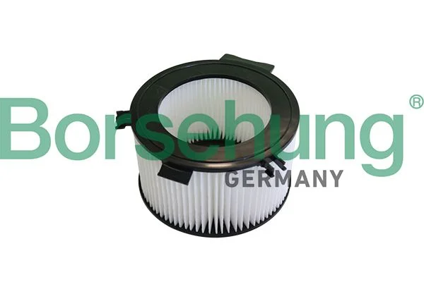 Filtras, salono oras Borsehung B10549