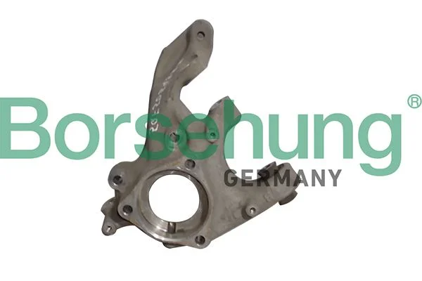 Steering Knuckle, wheel suspension Borsehung B12115