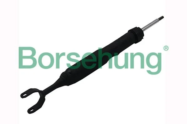 Amortizatorius Borsehung B12140