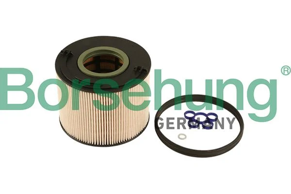 Kuro filtras Borsehung B12201