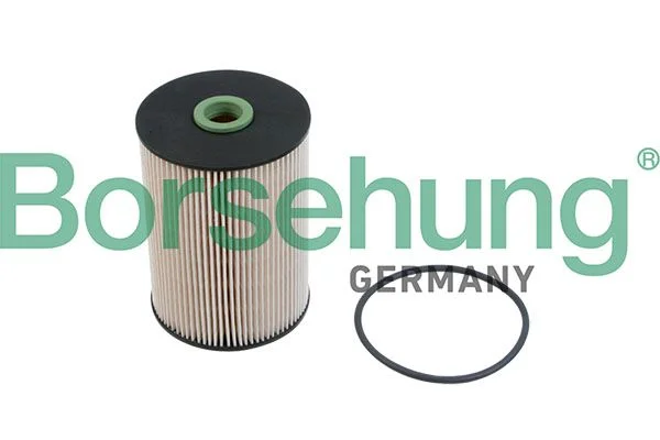 Kuro filtras Borsehung B12214