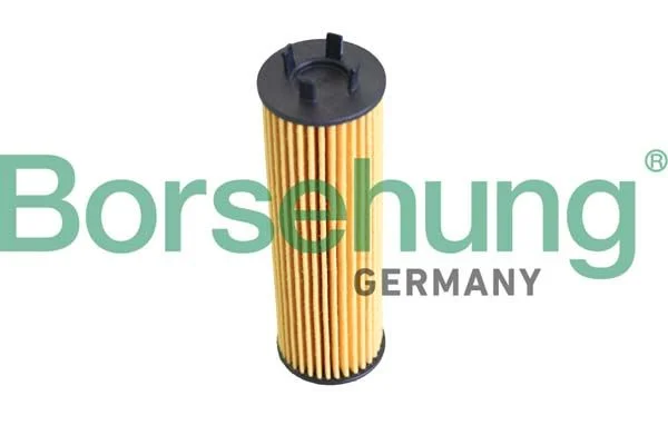 Alyvos filtras Borsehung B12286