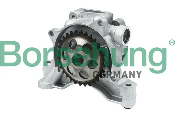 Oil Pump Borsehung B12697