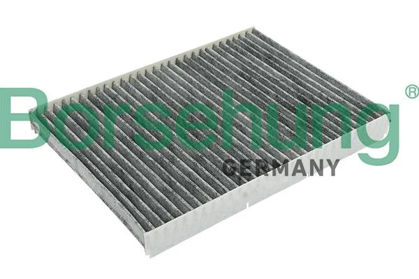 Filtras, salono oras Borsehung B12796