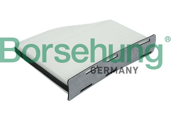 Filtras, salono oras Borsehung B12798