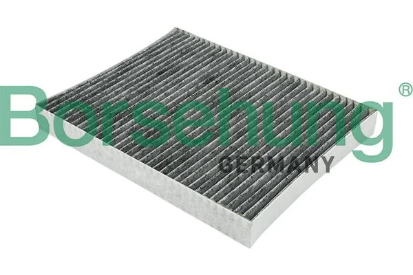 Filtras, salono oras Borsehung B12799
