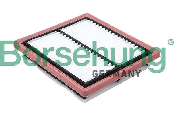 Oro filtras Borsehung B12809