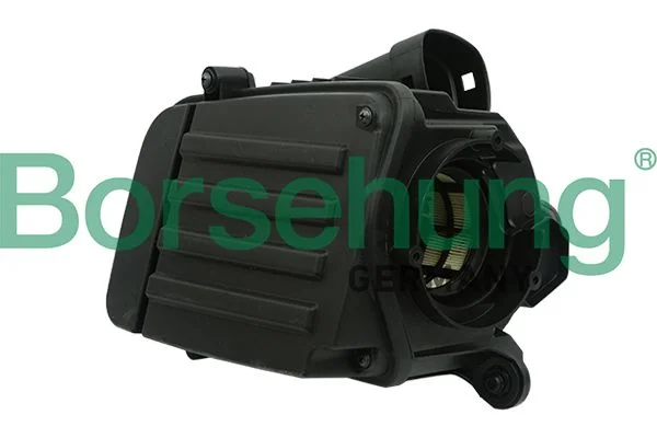 Oro filtras Borsehung B12845