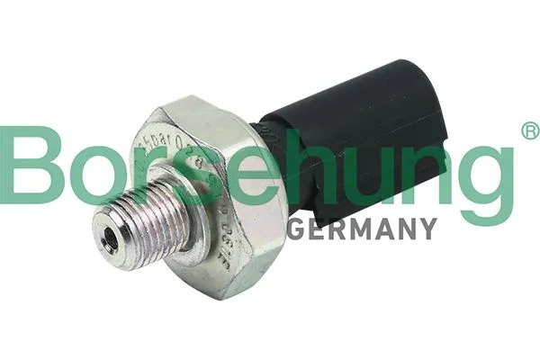 Oil Pressure Switch Borsehung B13139