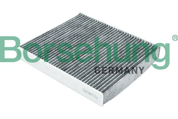 Filtras, salono oras Borsehung B18017