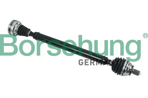 Pusašis borsehung B18324