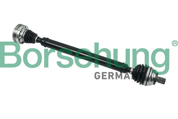 Pusašis Borsehung B18416
