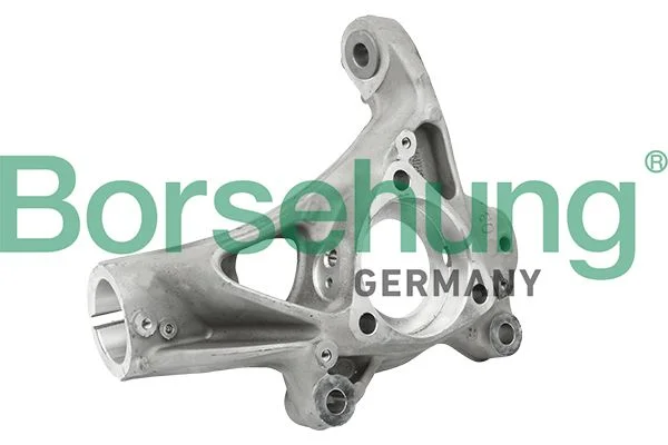 Steering Knuckle, wheel suspension Borsehung B18510