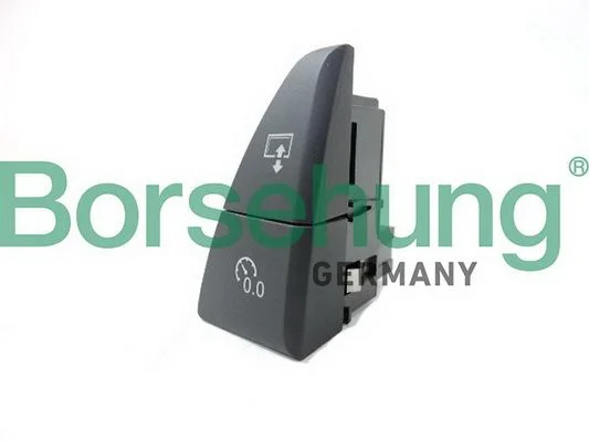 Multi-Function Switch Borsehung B18599