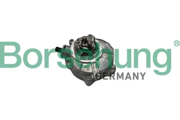 Vacuum Pump, braking system borsehung B18773