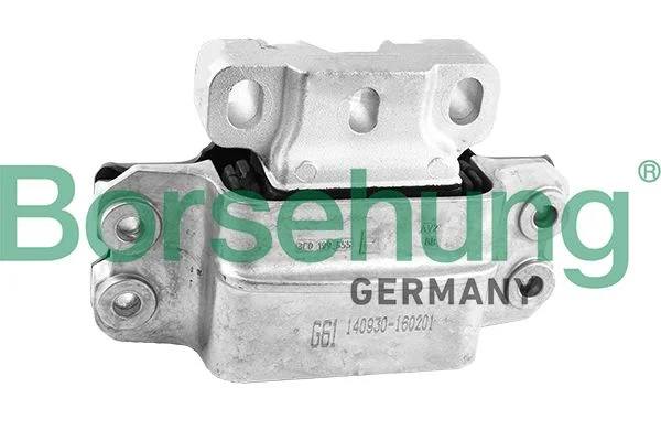 Variklio montavimas Borsehung B18935